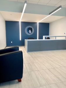Mustang Seal Solutions-2